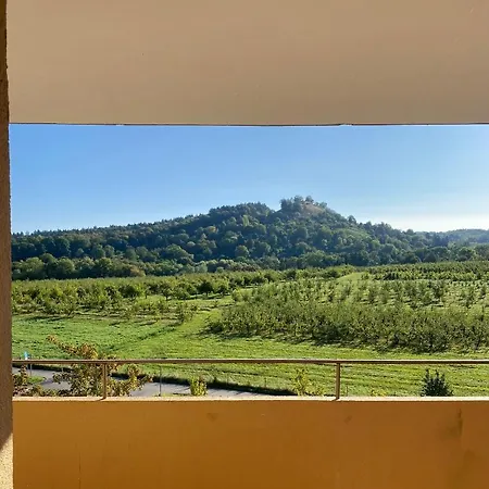 Apartment- Metzingen (Tubingen)